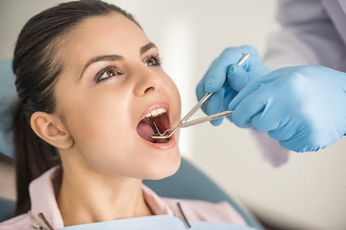 canstockphoto26777090-1024x683 small